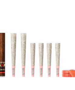 Blood Orange Fattone